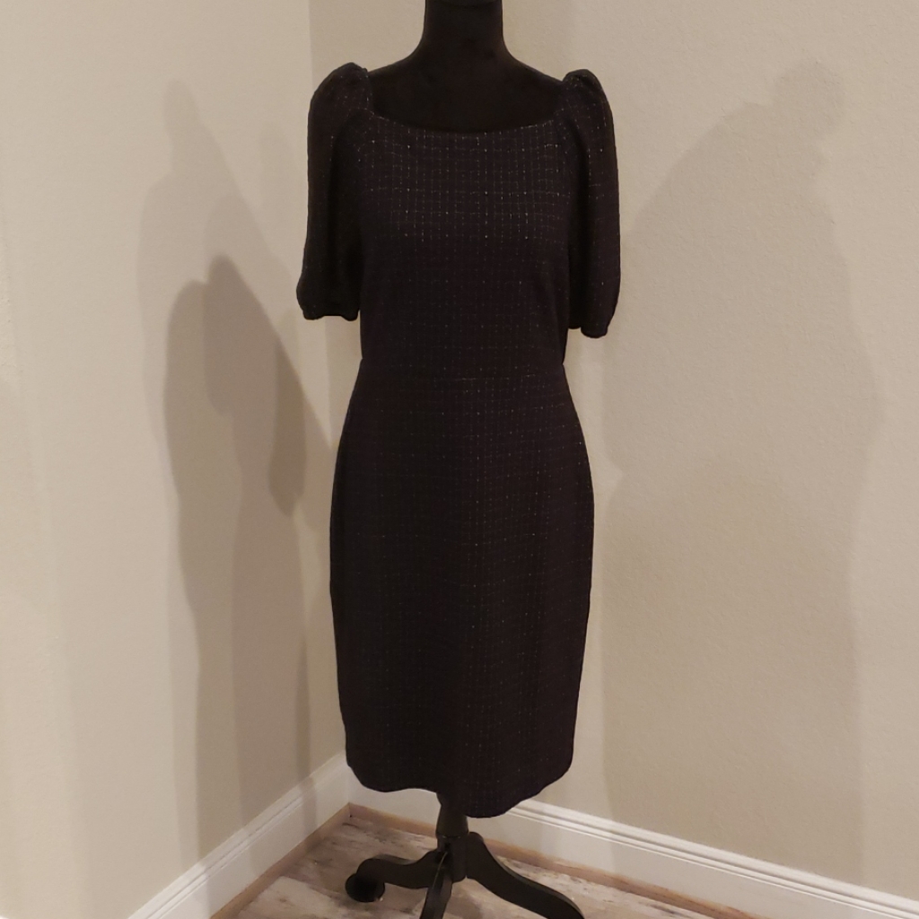 Ann Taylor Dress  Brand New